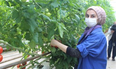 Kendi günlerinde çalışan tarım işçisi kadınlar unutulmadı