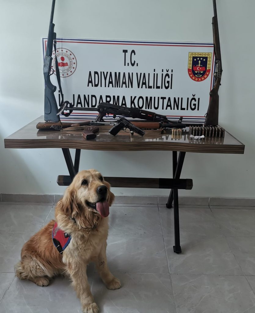 Adışaman’da eş zamanlı silah operasyonu: 2 gözaltı