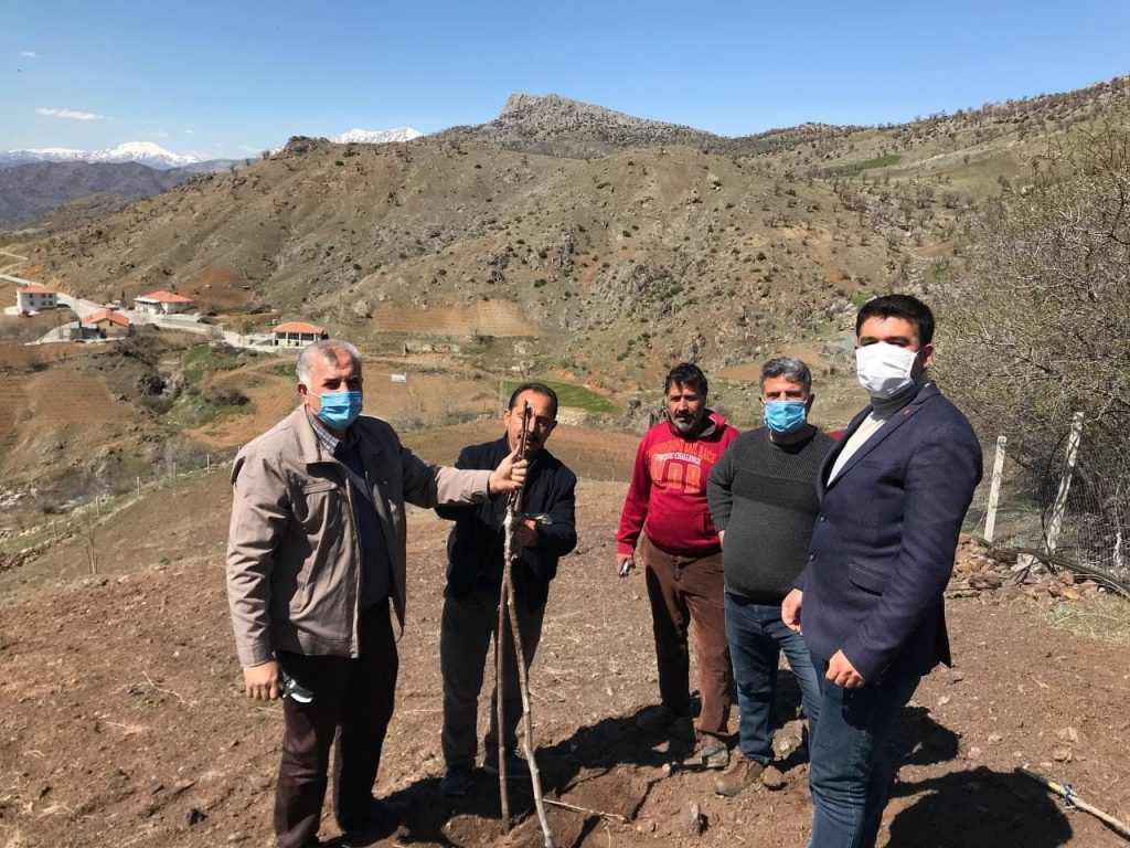 Çiftçilere budama eğitimi