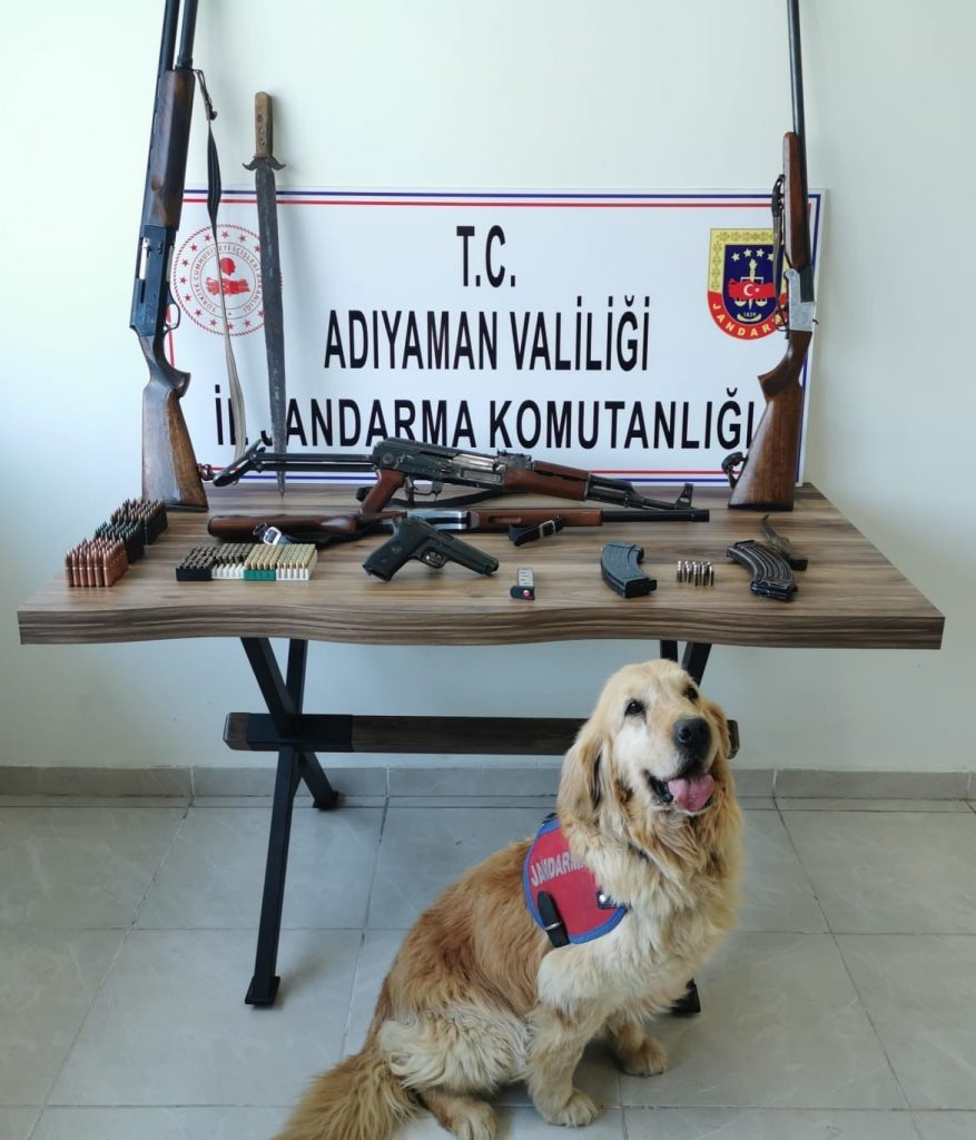 Jandarma silah ele geçirdi
