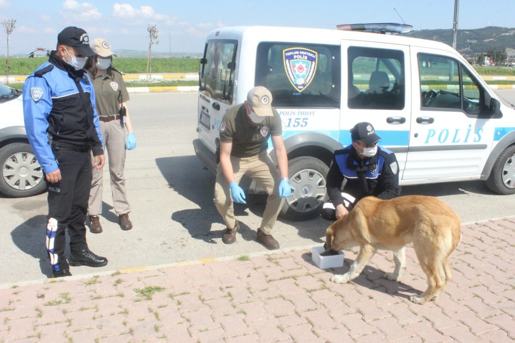 Polis ekipleri sokak hayvanlarının karnını doyurdu
