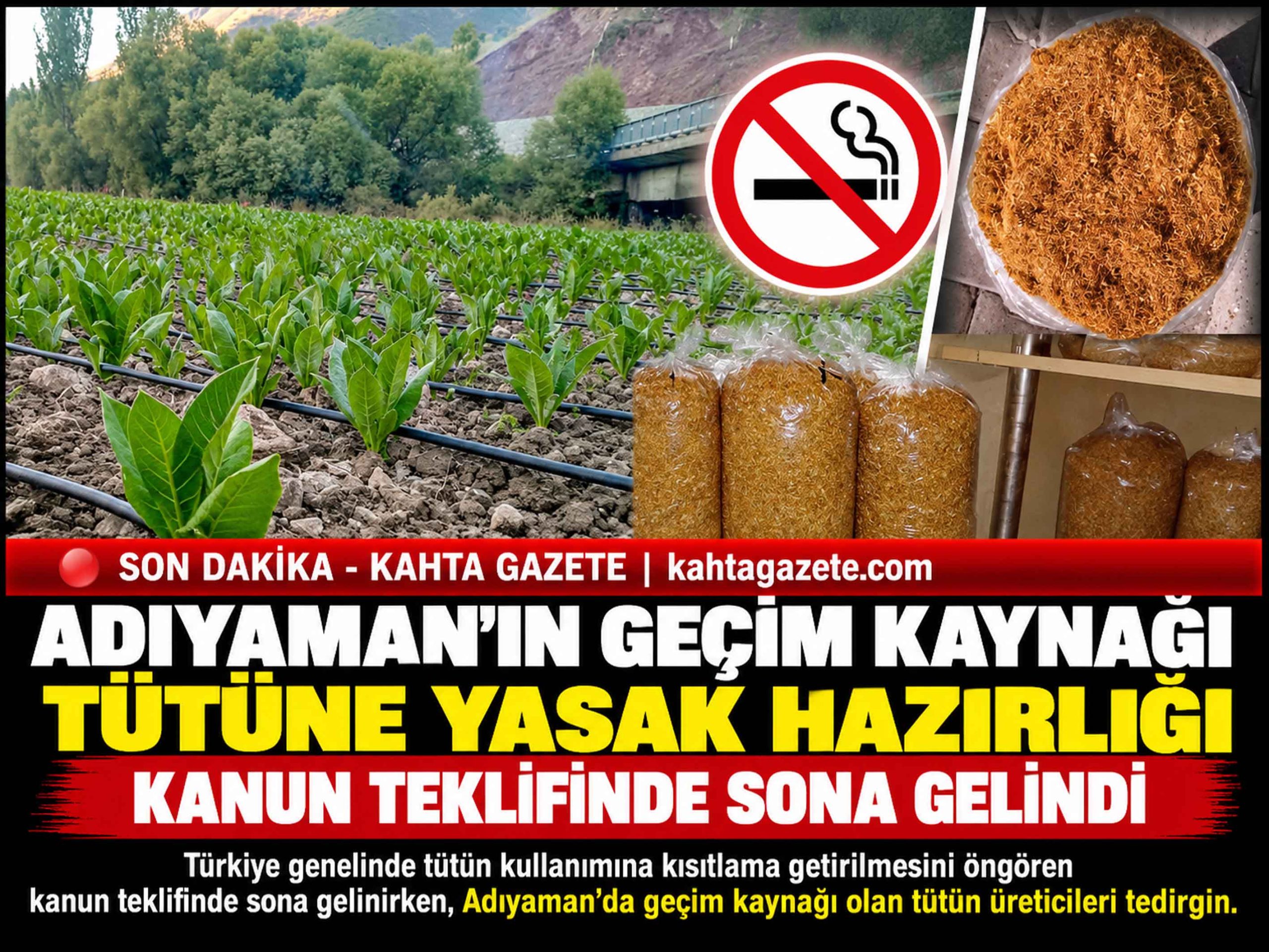 ADIYAMAN’DA BİNLERCE AİLENİN GEÇİM KAYNAĞI TÜTÜN İÇİN 2040 PLANI GÜNDEMDE