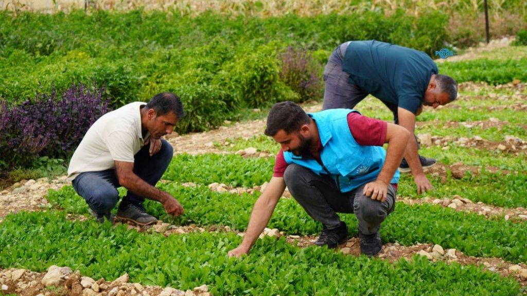 Adıyaman’da belediye ve kadın kooperatifinin üretim merkezinde sonbahar mesaisi